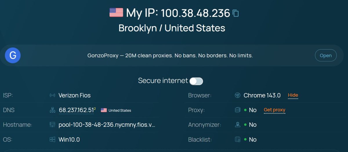 My IP 100.38.48.236, Brooklyn