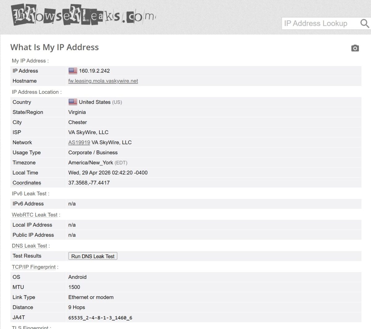 BrowserLeaks What Is My IP