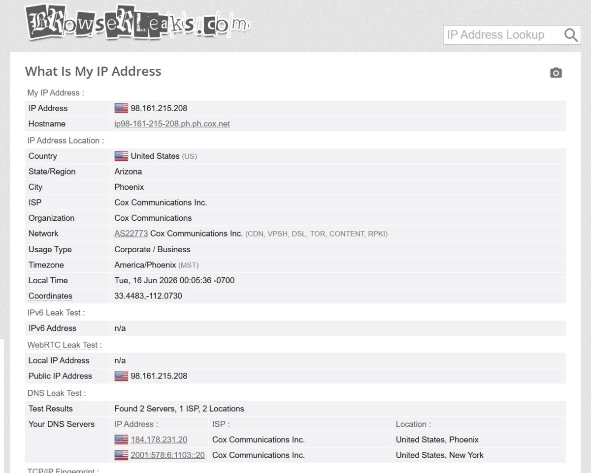 BrowserLeaks DNS Leak Test: