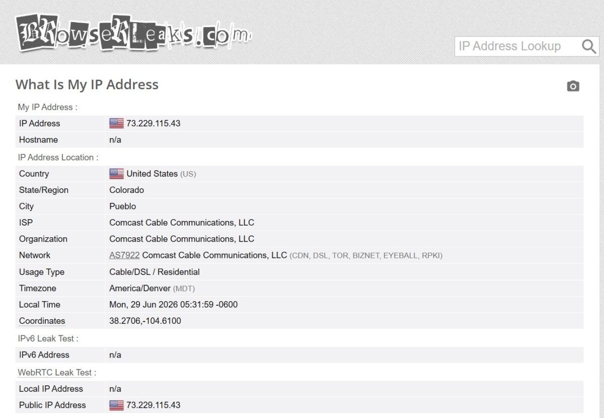 BrowserLeaks What Is My IP