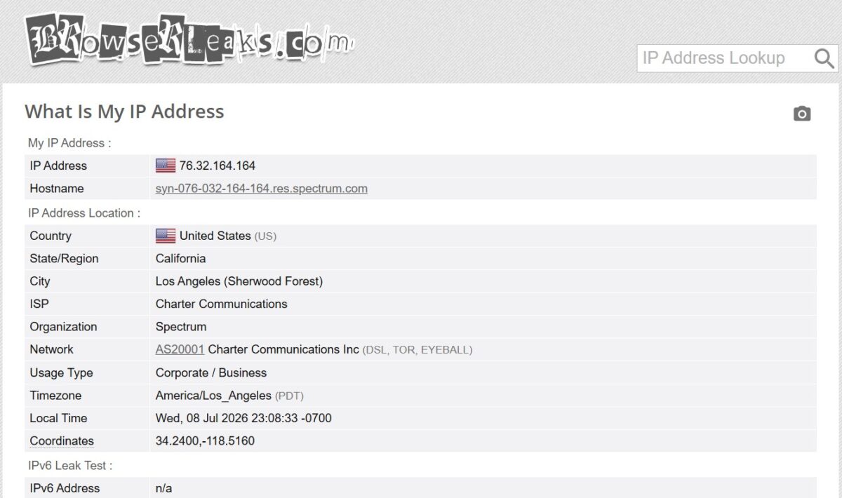 BrowserLeaks What Is My IP