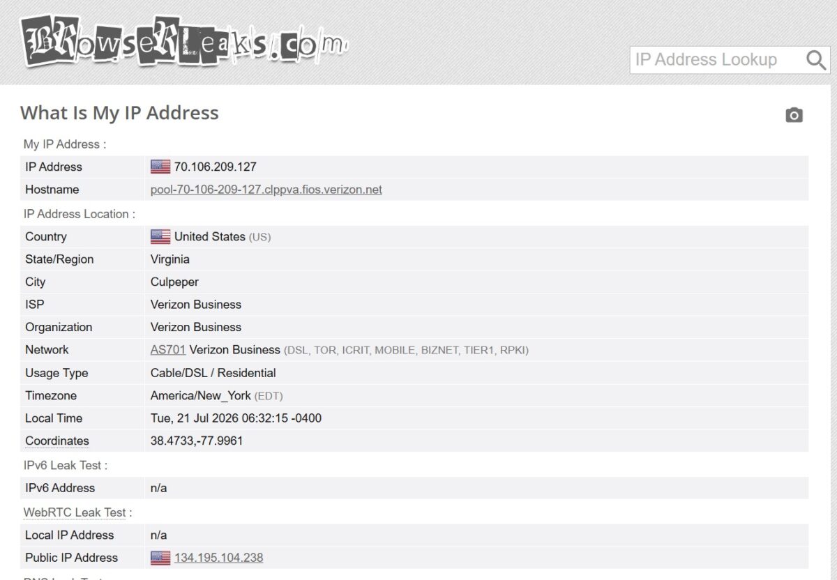 BrowserLeaks What Is My IP