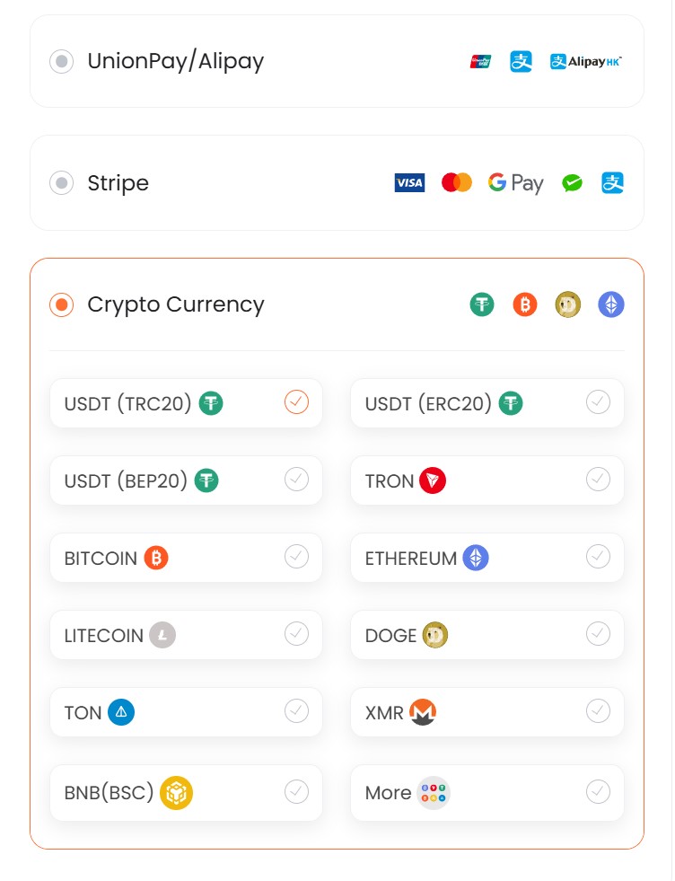 payment page