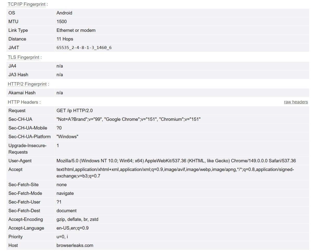 BrowserLeaks TCP/IP Fingerprint